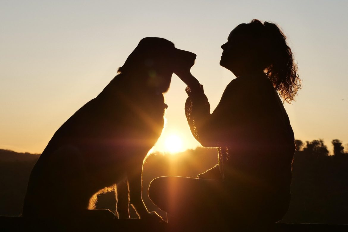 Common Dog Care Mistakes to Avoid
